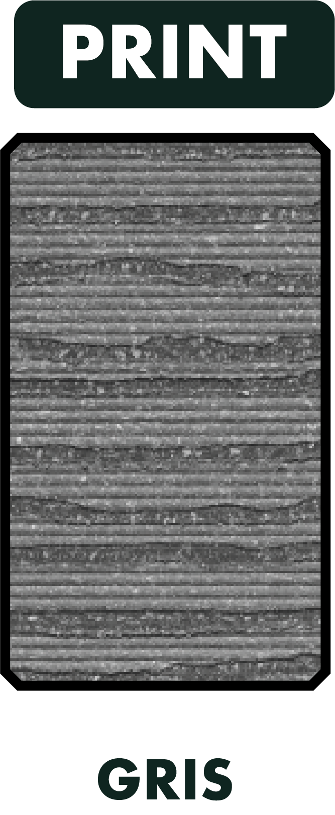 Fichier 44couleur gris lame gemeaux PRINT